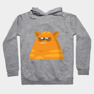 Cat Sleepless Funny Hoodie